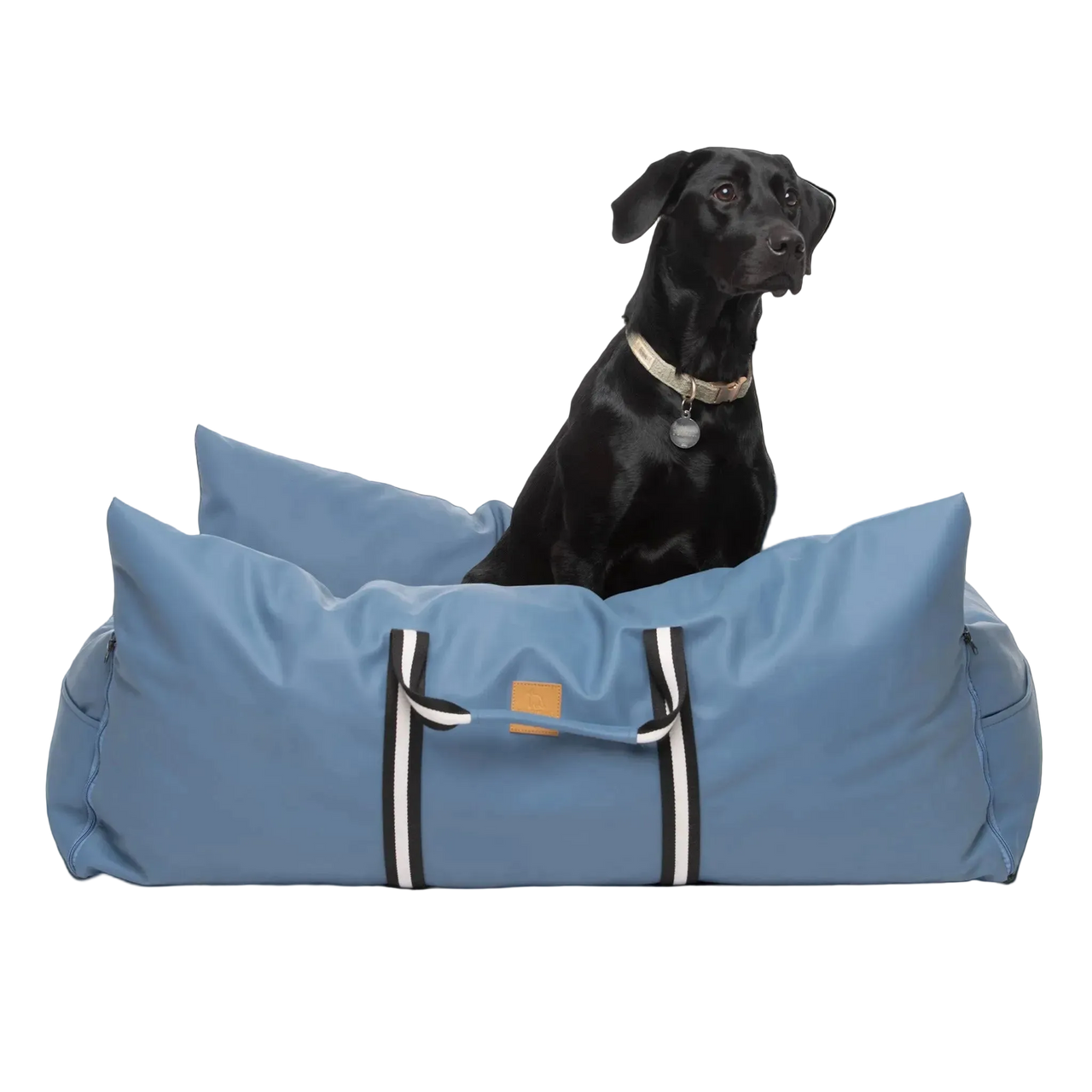 Dog Dock