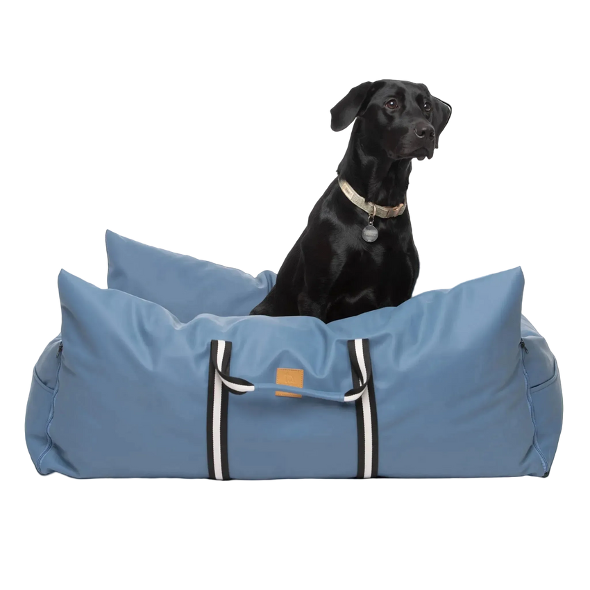 Dog Dock