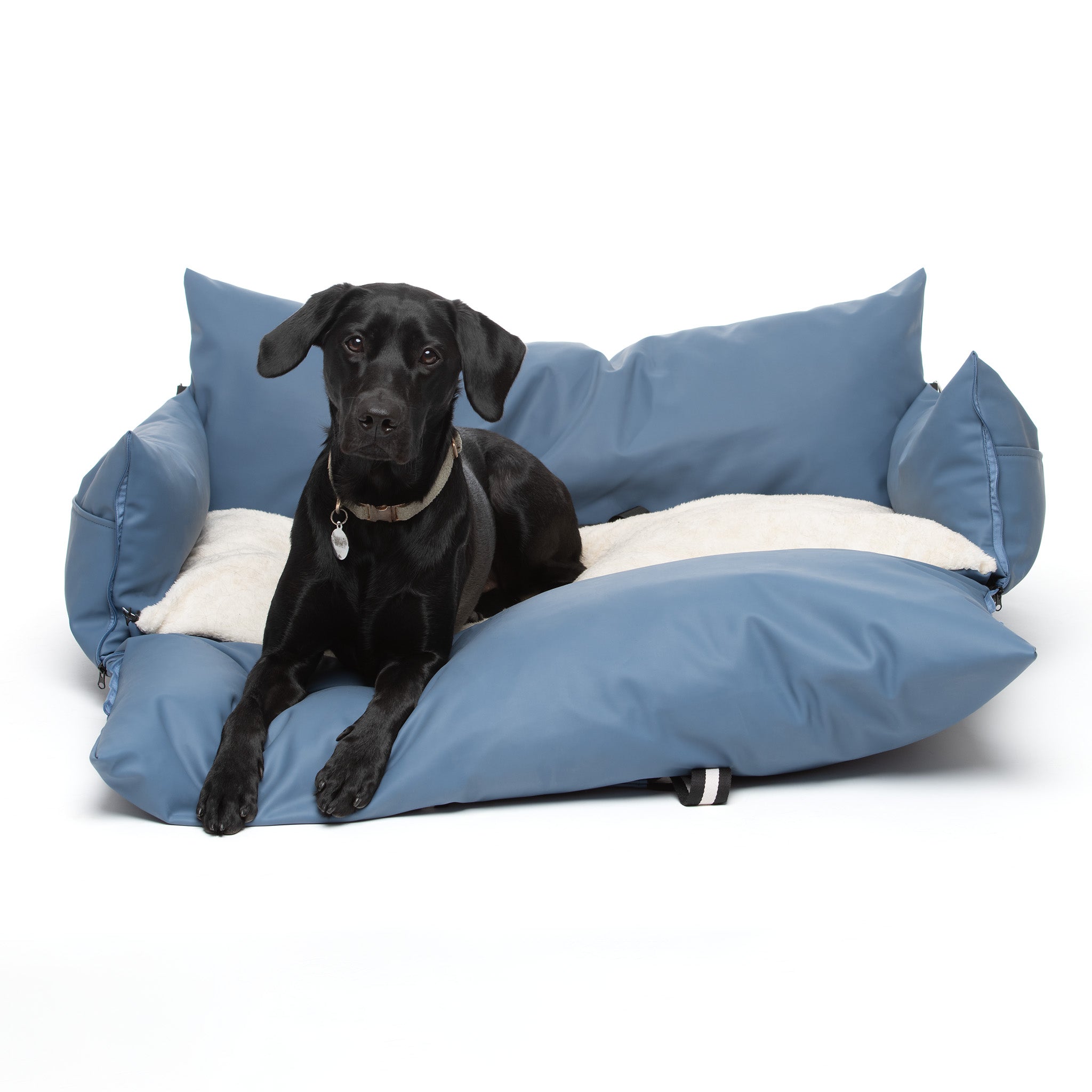 The Dog Dock V2 New & Improved with ISO Fix