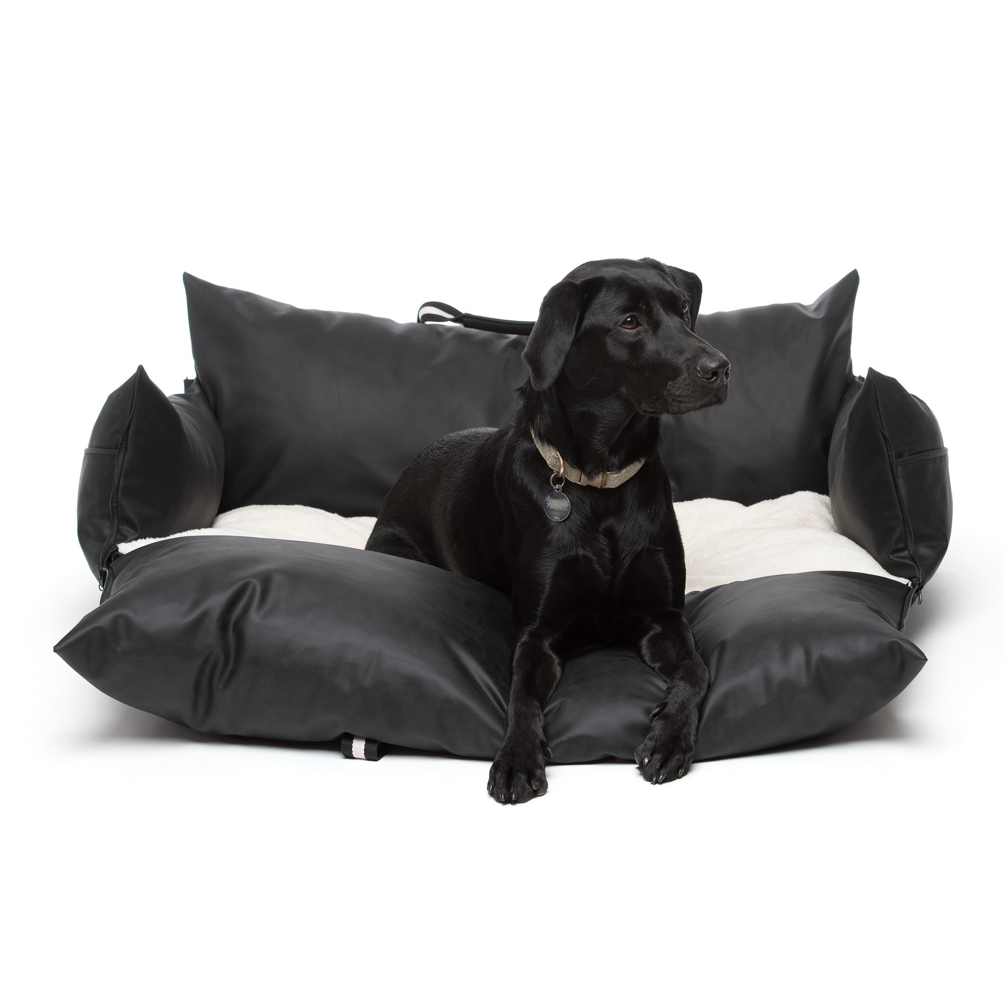 The Dog Dock V2 New & Improved with ISO Fix