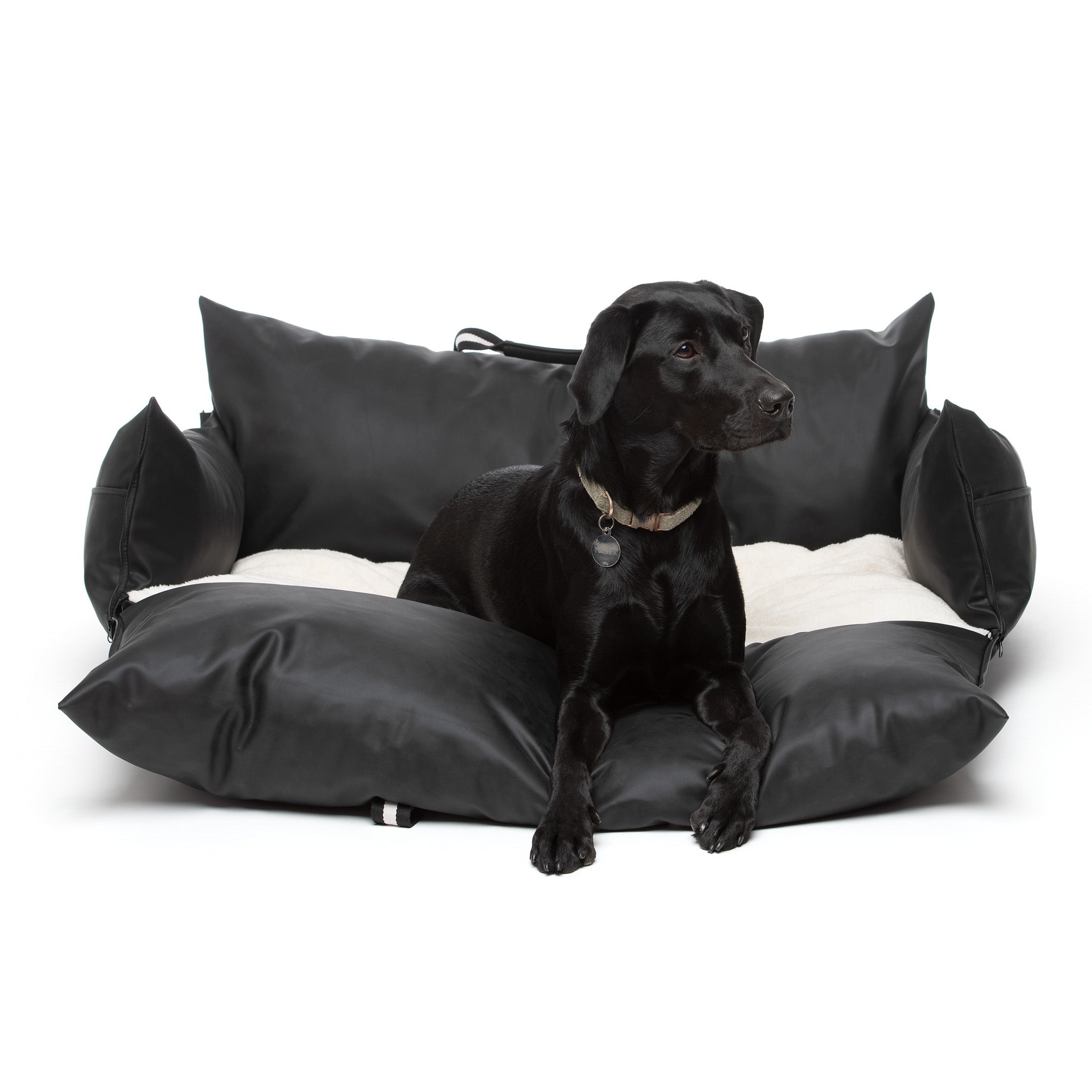 The Dog Dock V2 New & Improved with ISO Fix