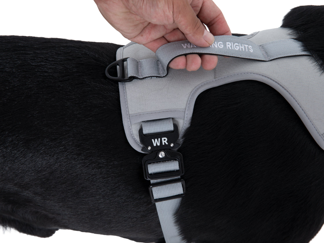 Wagging Rights Adjustable Harness