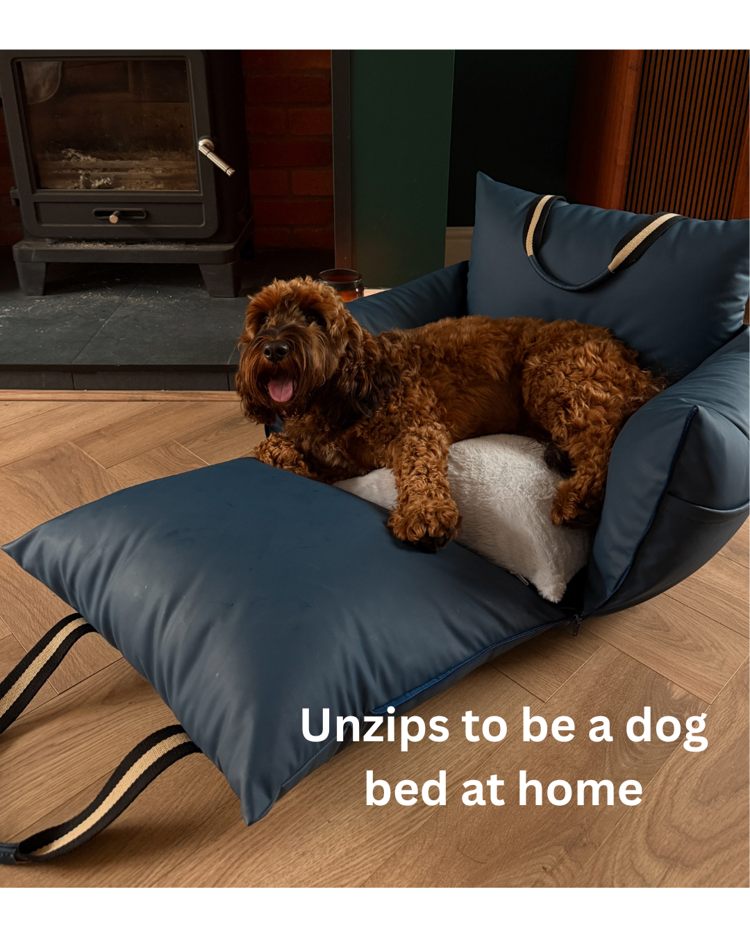 The Dog Dock V2 New & Improved with ISO Fix